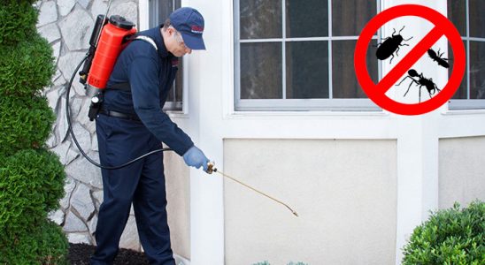 Küçükyalı Fare İlaçlama böcek ilaçlama ve haşere kontrolü — ilaclama-tr.com